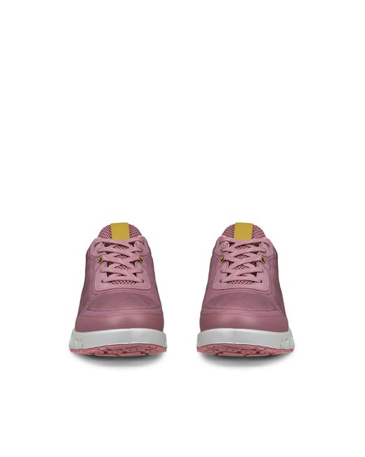 Ecco Purple Multi-Vent