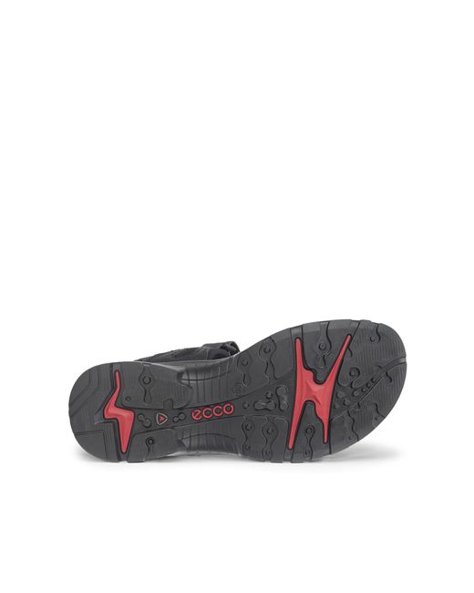Ecco Black Offroad
