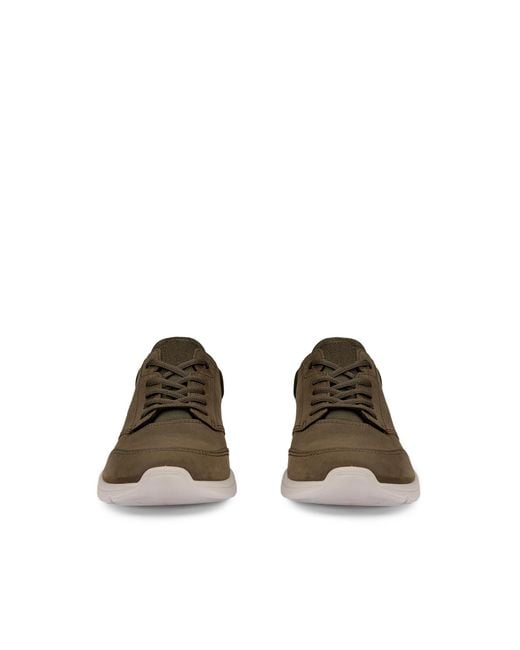 Ecco Brown Irving for men