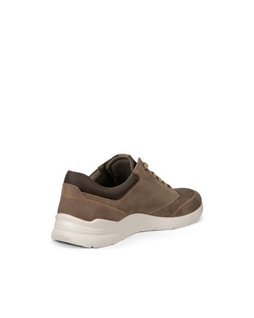 Ecco Brown Irving for men