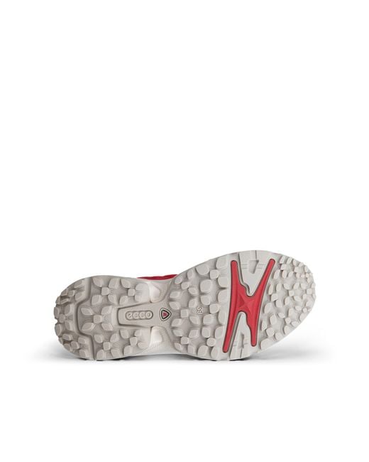 Ecco Red Receptor Xp
