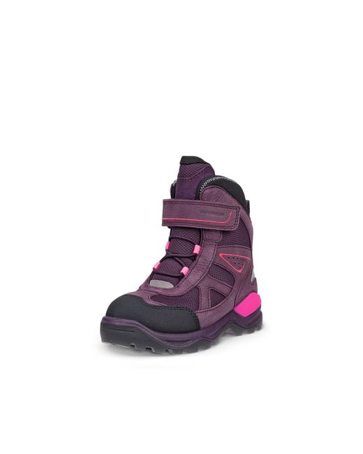 Ecco Purple Snow Mountain