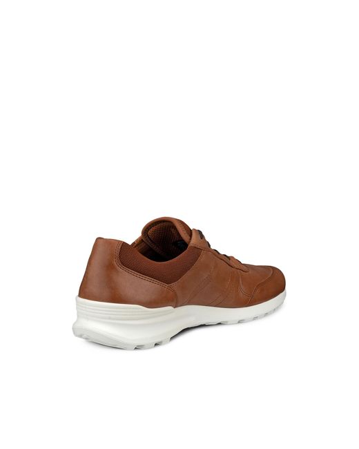 Ecco Brown Cs25 for men