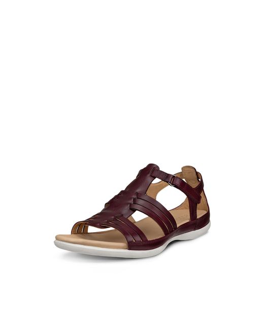 Ecco Brown Flash