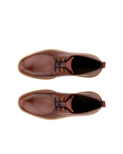 Ecco Brown St.1 Hybrid for men