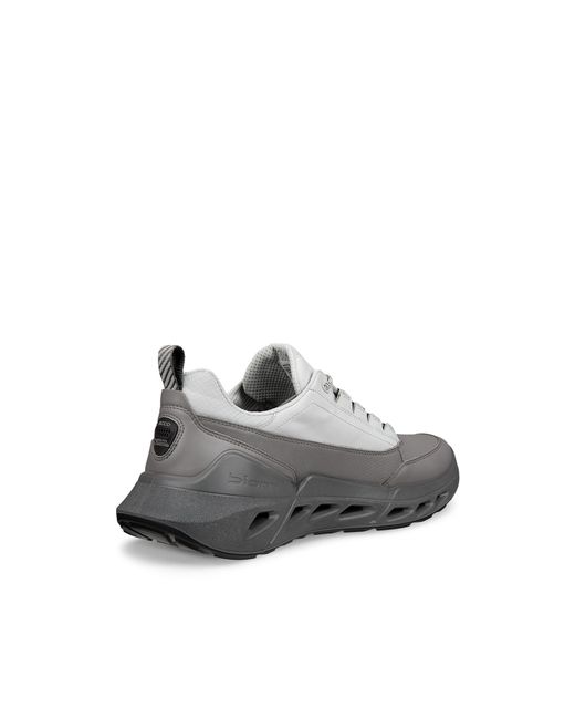 Ecco Gray Biom 720 for men
