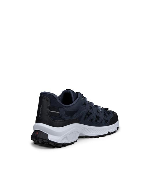 Ecco Blue Receptor Xp for men