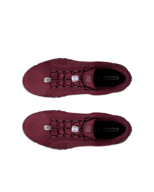 Ecco Purple Gruuv Lite