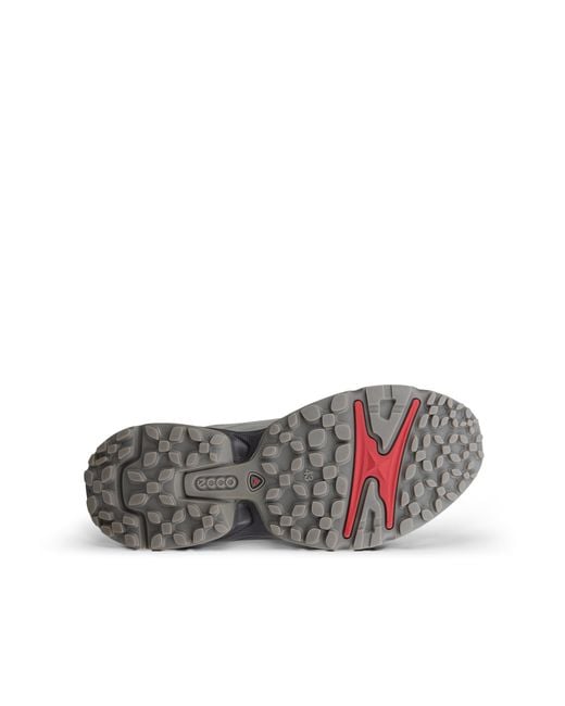 Ecco Gray Receptor Xp for men