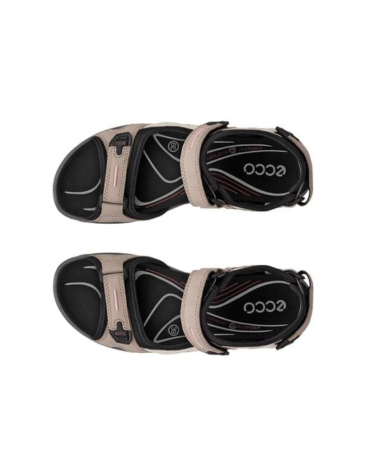 Ecco Black Offroad