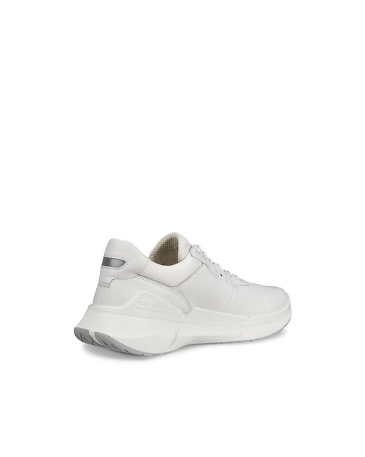 Ecco Gray Biom 2.2 for men