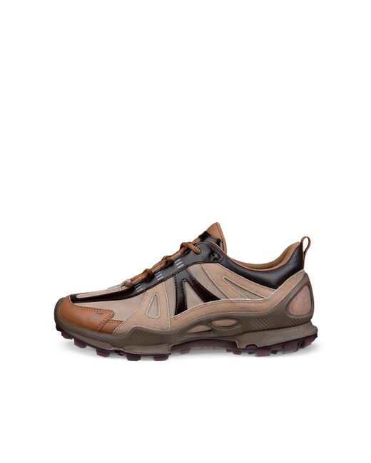 Ecco Brown Biom C-Trail