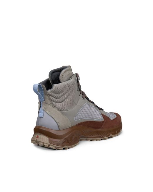 Ecco Brown Receptor Xp