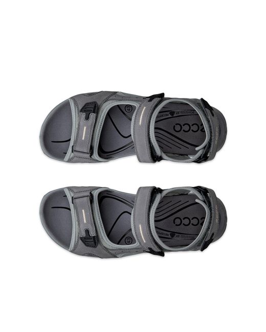 Ecco Gray Offroad for men