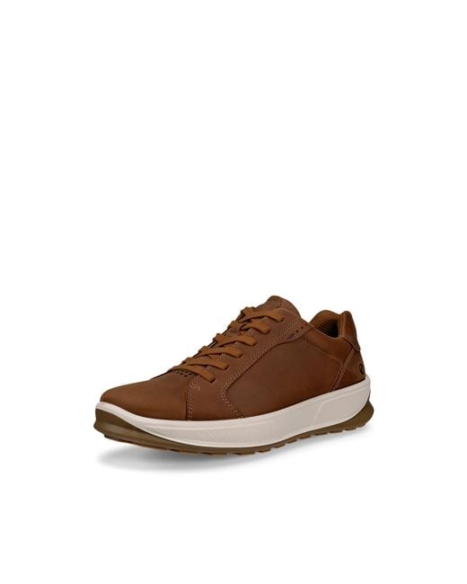 Ecco Brown Byway 2 Sneaker for men