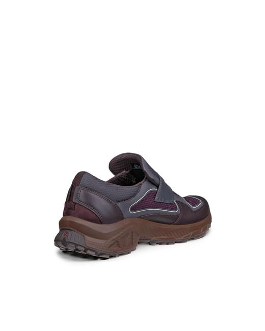Ecco Gray Receptor Xp