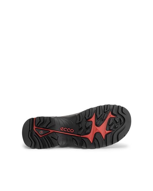 Ecco Black Offroad Cruiser (/) Shoes for men
