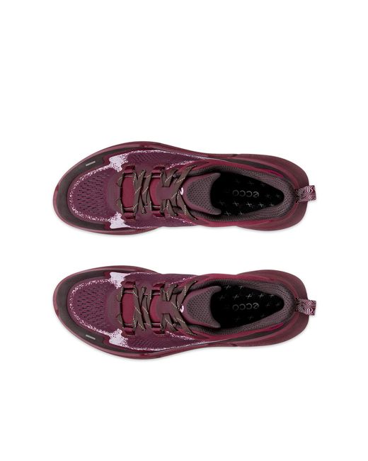 Ecco Purple Biom 2.2