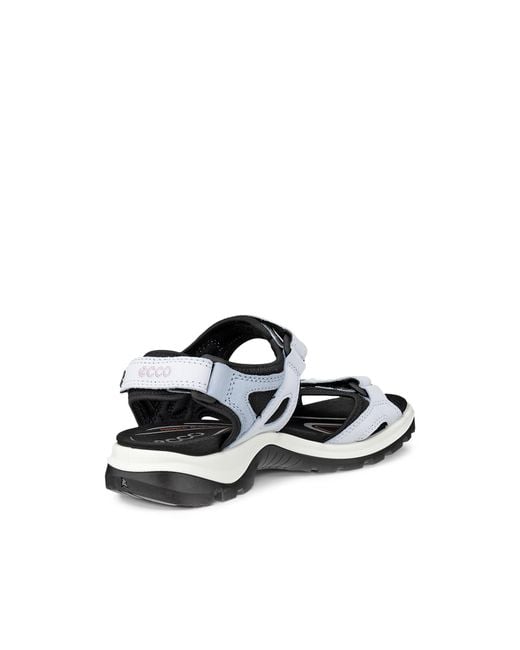 Ecco White Offroad