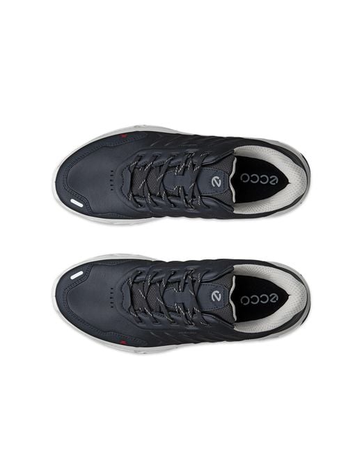 Ecco Blue Receptor Xp