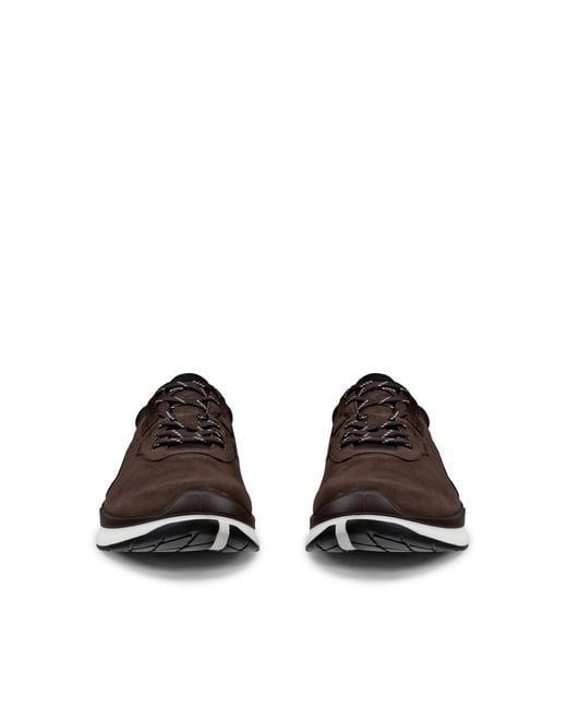 Ecco Brown Biom 2.2 for men