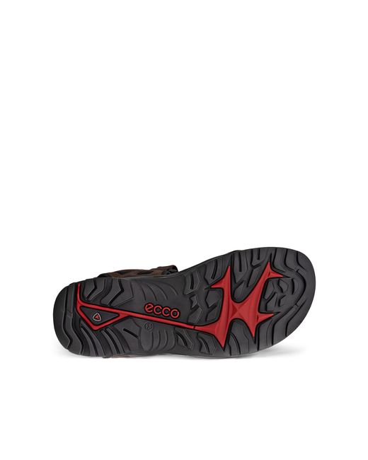 Ecco Offroad in Black für Herren