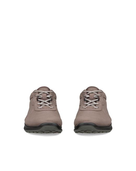 Ecco Brown Biom Energi for men