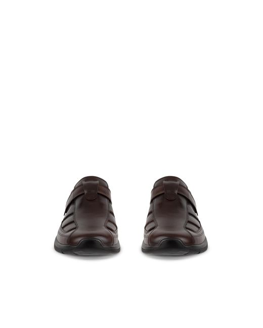 Ecco Brown Irving for men
