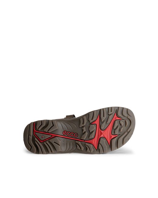 Ecco Brown Offroad for men