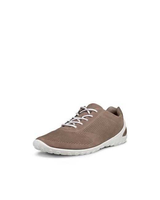 Ecco Brown Biom Lite M Lace for men