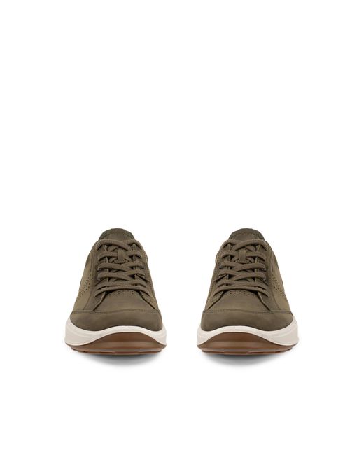Ecco Brown Byway 2.0 for men