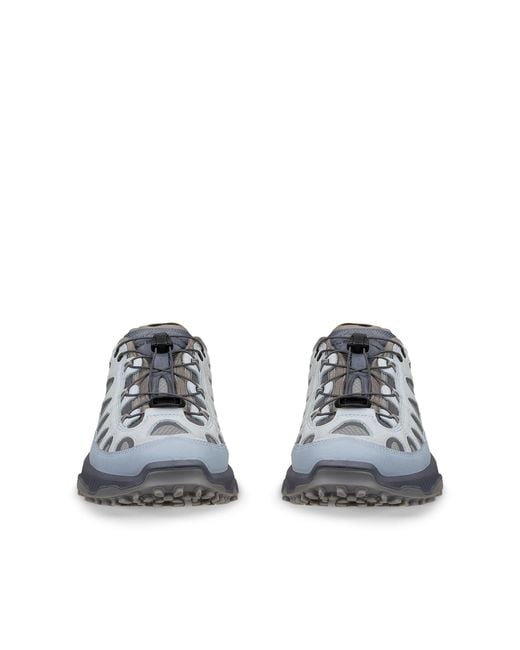Ecco Blue Wm Receptor Xp