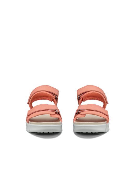 Ecco Pink Gruuv Sol