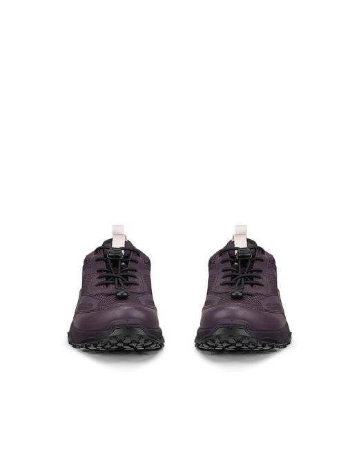 Ecco Purple Receptor Xp