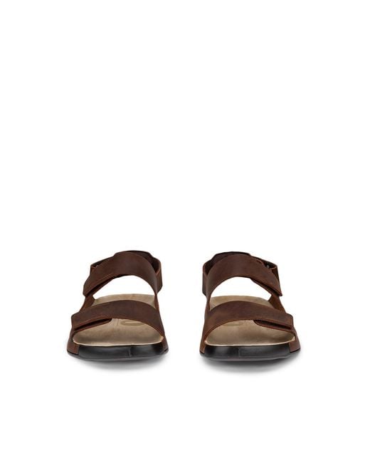 Ecco Brown Cozmo for men