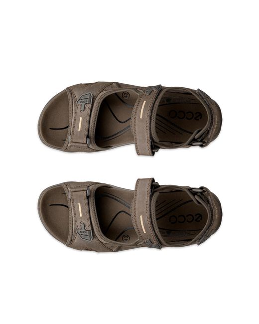 Ecco Brown Offroad for men