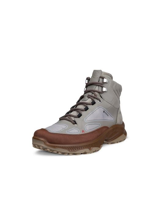 Ecco Brown Receptor Xp