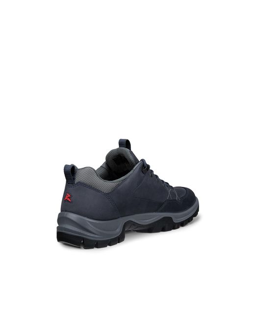 Ecco Blue Receptor Trekk for men