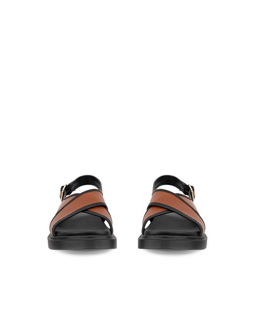Ecco Brown Metropole Seoul