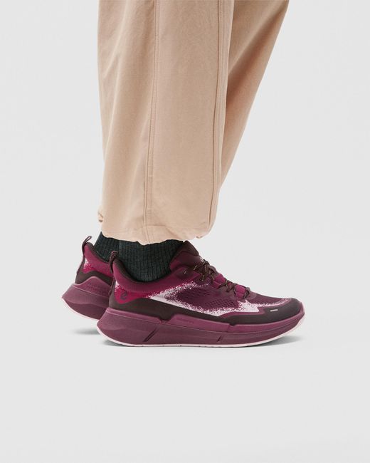 Ecco Purple Biom 2.2