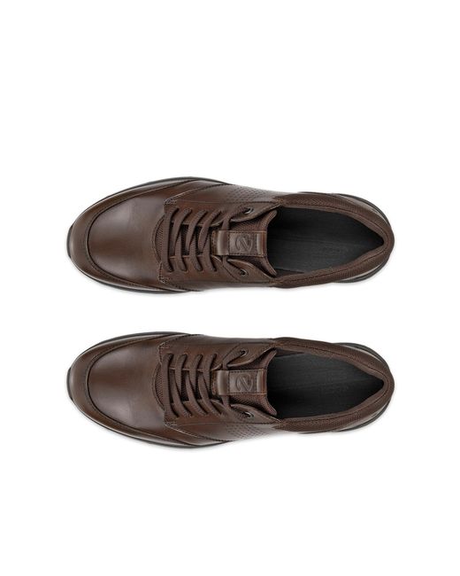 Ecco Brown Irving for men