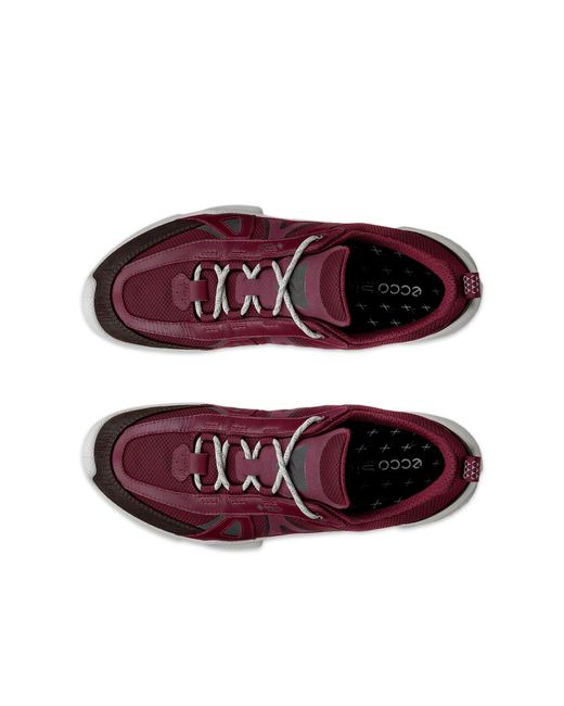 Ecco Purple Biom C-Trail