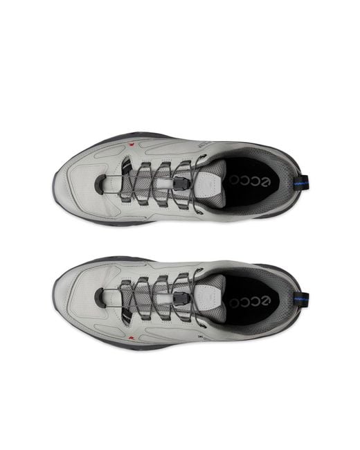 Ecco Gray Receptor Xp for men