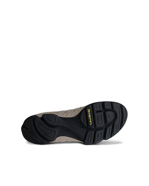 Ecco Gray Biom Aex for men