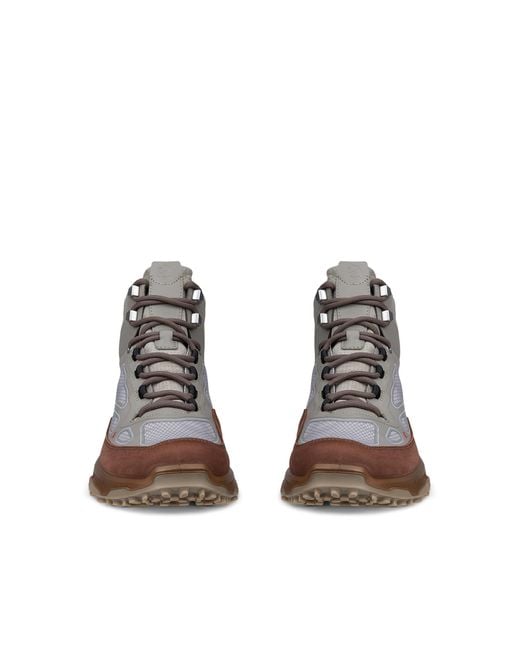 Ecco Brown Receptor Xp