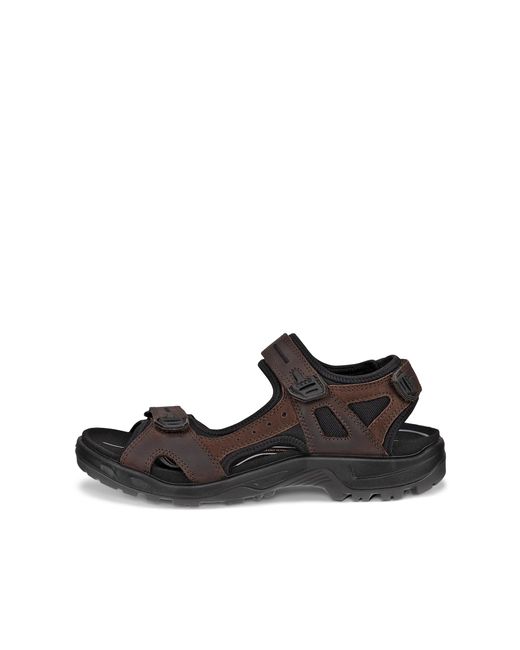 Ecco Offroad in Black für Herren