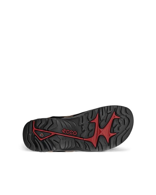 Ecco Brown Offroad for men