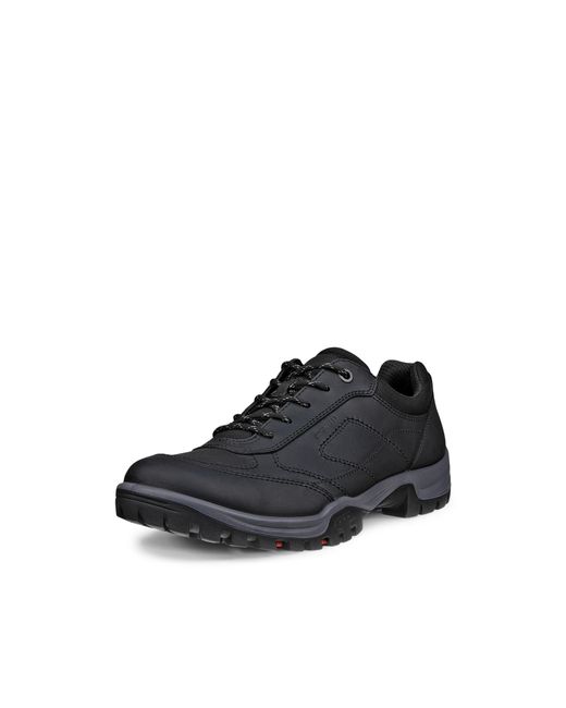 Ecco Blue Xpedition Iii for men