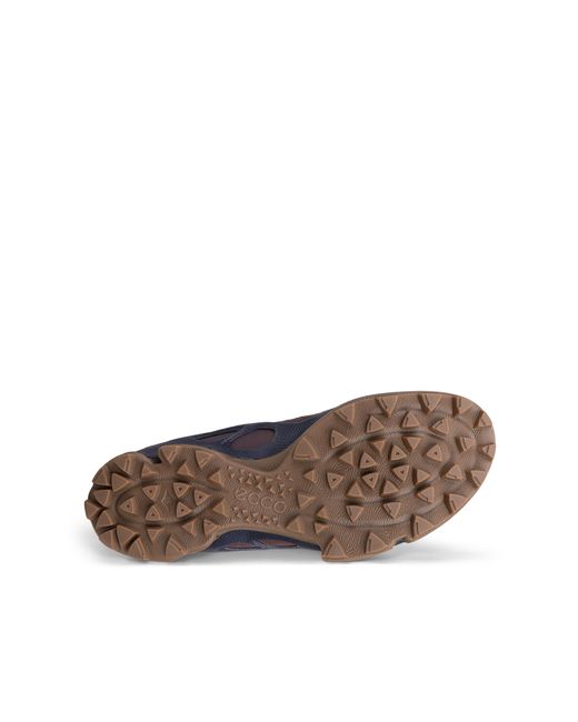 Ecco Brown Biom C-Trail
