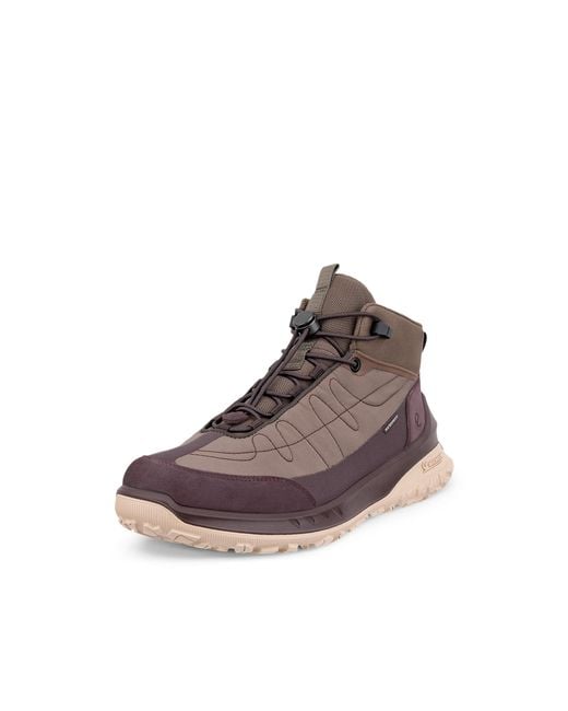 Ecco Brown Ult-Trn